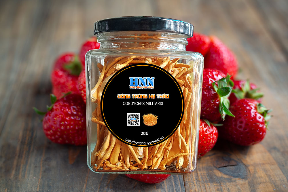 Đông trùng hạ thảo sấy khô 24gram