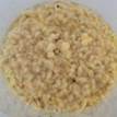 giai đoạn ươm sợi cordyceps militaris