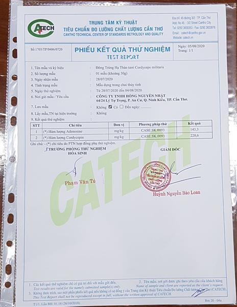Kết quả xet nhiệm dược chất trên nấm tưởi
