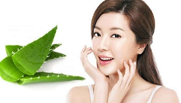 Dùng cây Nha Đam đúng cách giúp loại bỏ nám